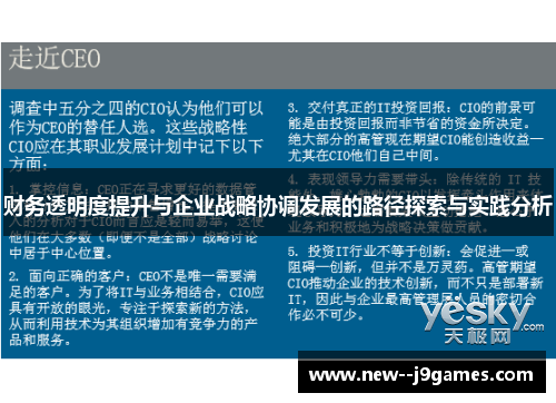 财务透明度提升与企业战略协调发展的路径探索与实践分析