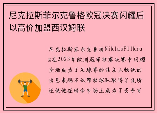 尼克拉斯菲尔克鲁格欧冠决赛闪耀后以高价加盟西汉姆联 尼克拉斯菲尔克鲁格欧冠决赛闪耀后以高价加盟西汉姆联